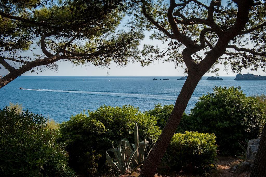 Royal Ariston Hotel Дубровник View of the sea from the park