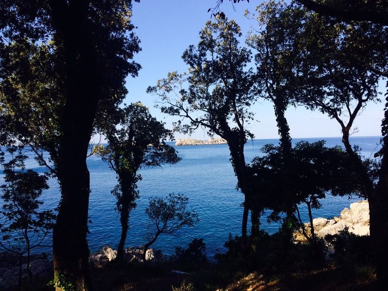 Royal Ariston Hotel Дубровник View of the Gulf of Saint-Tropez